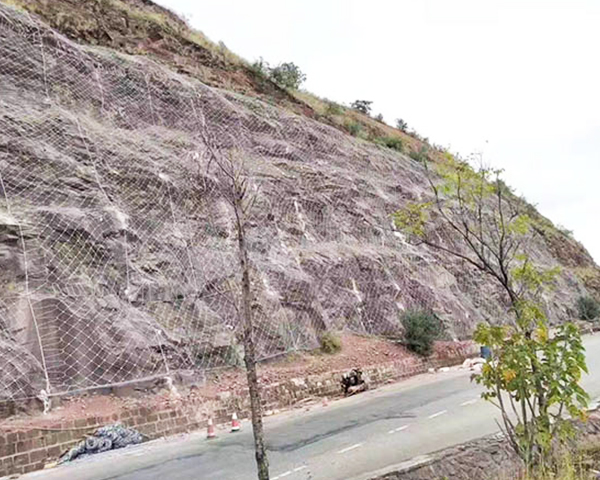 sns主動邊坡防護網